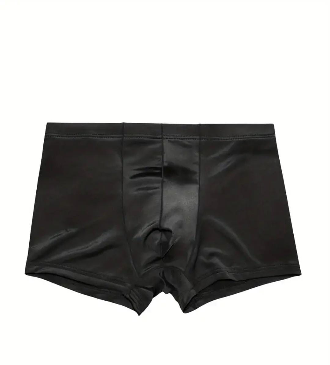 Sheer Brief Black